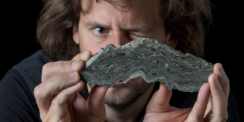 Naturhistorisches Museum Bern Museen Bern